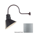 Millennium Lighting-RAS10-RGN30-Fixture with Galvanized Finish Swatch