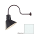 Millennium Lighting-RAS10-RGN30-Fixture with White Finish Swatch