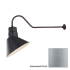 Millennium Lighting-RAS10-RGN41-Fixture with Galvanized Finish Swatch