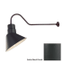 Millennium Lighting-RAS10-RGN41-Fixture with Satin Black Finish Swatch