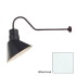 Millennium Lighting-RAS10-RGN41-Fixture with White Finish Swatch