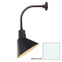 Millennium Lighting-RAS12-RGN12-Fixture with White Finish Swatch