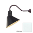 Millennium Lighting-RAS12-RGN22-Fixture with White Finish Swatch