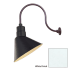 Millennium Lighting-RAS12-RGN24-Fixture with White Finish Swatch