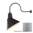 Millennium Lighting-RAS12-RGN30-Fixture with Galvanized Finish Swatch