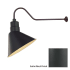 Millennium Lighting-RAS12-RGN41-Fixture with Satin Black Finish Swatch