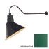 Millennium Lighting-RAS12-RGN41-Fixture with Satin Green Finish Swatch