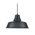 Millennium Lighting R Series 14" Wide Pendant Satin Black