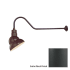 Millennium Lighting-RES10-RGN41-Fixture with Satin Black Finish Swatch