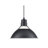 Millennium Lighting R Series 13" Wide Pendant Satin Black