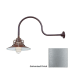 Millennium Lighting-RRRS14-RGN30-Fixture with Galvanized Finish Swatch