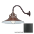 Millennium Lighting-RRRS18-RGN15-Fixture with Satin Black Finish Swatch