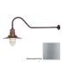 Millennium Lighting-RRWS12-RGN41-Fixture with Galvanized Finish Swatch