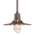 Millennium Lighting RLM 1 Light Outdoor Pendant with 15" Wide Radial Shade and 24" Stem Architectural Bronze