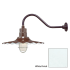 Millennium Lighting-RRWS18-RGN22-Fixture with White Finish Swatch