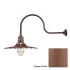 Millennium Lighting-RRWS18-RGN30-Fixture with Copper Finish Swatch