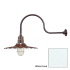 Millennium Lighting-RRWS18-RGN30-Fixture with White Finish Swatch