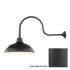Millennium Lighting-RWHS17-RGN30-Fixture with Satin Black Finish Swatch