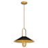 Pendant with Canopy