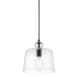 Minka Lavery Clarity 10" Wide Mini Pendant with Clear Glass Shade Coal