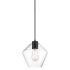 Minka Lavery Clarity 9" Wide Mini Pendant with Clear Glass Shade Coal