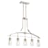 Chandelier with Canopy