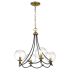 Chandelier with Canopy