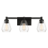 Minka Lavery Clarity 3 Light 24" Wide Vanity Light with Clear Glass Shades Coal