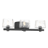 Minka Lavery Drysdale 3 Light 24" Wide Vanity Light with Hammered Glass Shades Coal