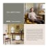 Designer Infographic