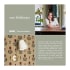 Designer Infographic