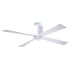 Modern Fan Co. Lapa 50" 4 Blade Outdoor Ceiling Fan with Custom Blade and Control Options Gloss White