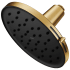 Moen Verso 1.75 GPM Single Function Rain Shower Head Brushed Gold