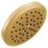 Moen Greenfield 2.5 GPM Single Function Shower Head Brushed Gold