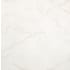 MSI Brighton - 12" x 24" Rectangle Floor and Wall Tile - Polished Visual - Sold by Carton (16 SF/Carton) Gold