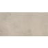 MSI Traktion Calypso - 12" x 24" Rectangle Floor and Wall Tile - Matte Visual - Sold by Carton (14 SF/Carton) Ash