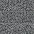 MSI Rio Lago - 12" x 12" Specialty Pebble and Rock Floor and Wall Mosaic Tile - Tumbled Stone Visual - Sold by Carton (10 SF/Carton) Black