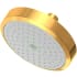 Newport Brass Tub and Shower 1.8 GPM Single Function Rain Shower Head Aged Brass