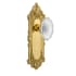 Polished Brass