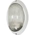 Nuvo Lighting Single Light 11" Tall Outdoor Wall Sconce with Ribbed Glass Shade Semi Gloss White