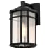 Nuvo Lighting Raiden 9" Tall Outdoor Wall Sconce with Seedy Glass Shade Matte Black