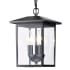 Nuvo Lighting Jamesport 3 Light 8" Wide Outdoor Mini Pendant Matte Black