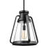 Nuvo Lighting Everett 14" Wide Pendant Matte Black