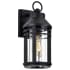 Nuvo Lighting Wilton 16" Tall Outdoor Wall Sconce Matte Black