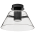 Nuvo Lighting Edmond 14" Wide Semi-flush Ceiling Fixture Matte Black