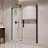 Ove Decors Pasadena 72" High x 59-1/16" Wide Pivot Frameless Shower Door with Clear Glass Black