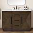 Ove Decors Hale 48" Free Standing Single Basin Vanity Set with Cabinet and Engineered Stone Vanity Top Aged Oak