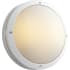Oxygen Lighting-3-719-Image of Regio 3-719-6 Lit