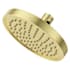 Pfister Universal 1.75 GPM Single Function Shower Head Brushed Gold