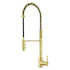 Pfister Brislin 1.5 GPM Single Hole Pull Out Kitchen Faucet Brushed Gold